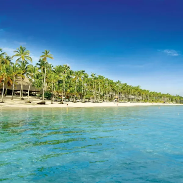 Agencia de Viajes - Punta Cana