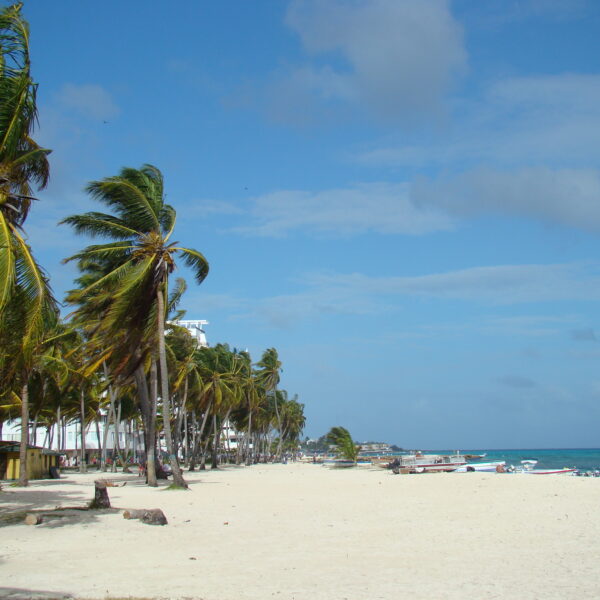 San Andrés 5